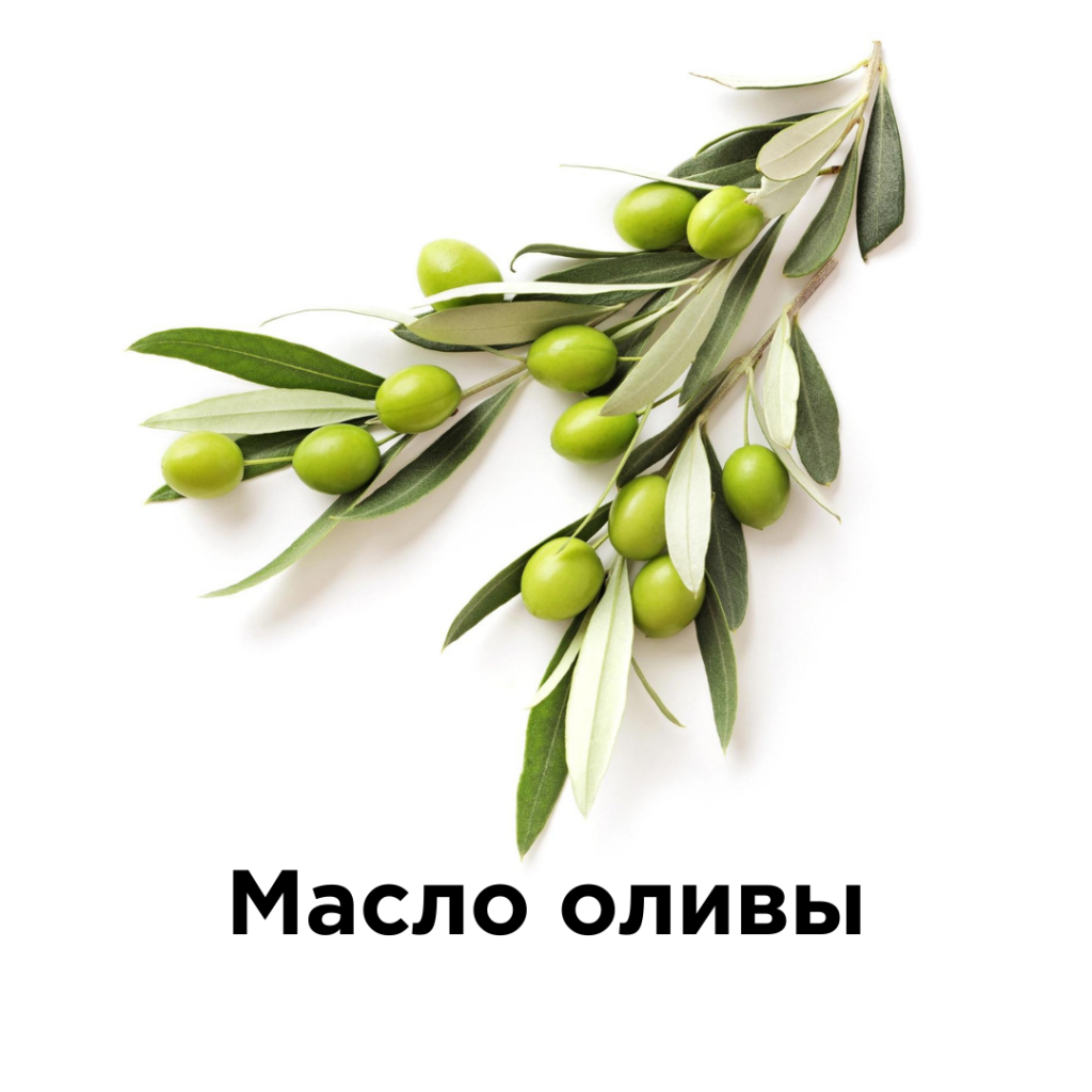 Масло оливы.png Масло оливы.png